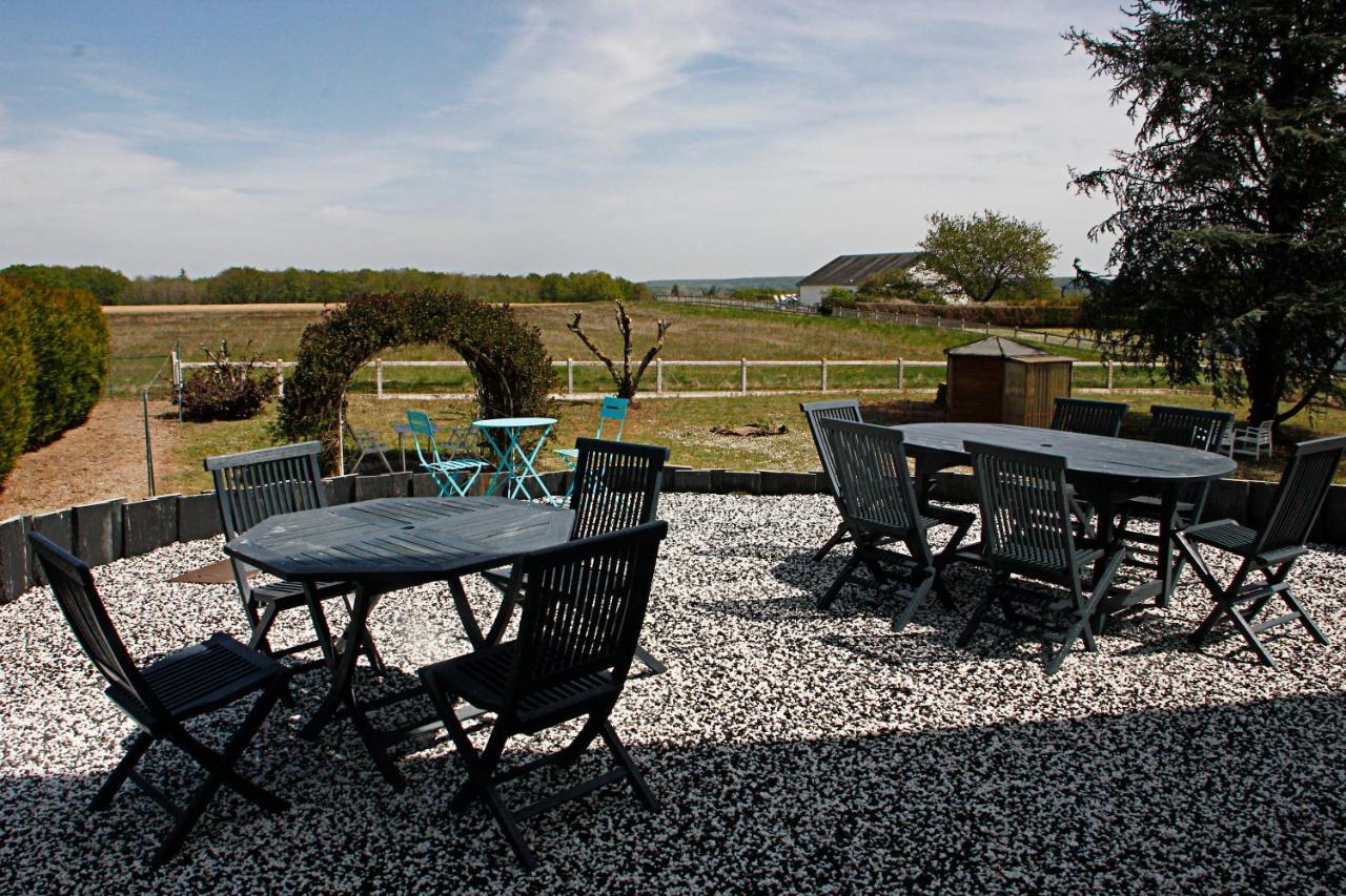 La Veuzaine Bed & Breakfast Onzain Exterior photo